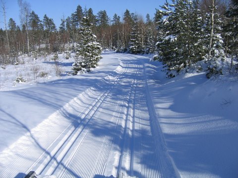 Rapport om skidanläggningar i Stockholm